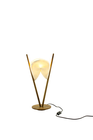 Wonton Table Lamp